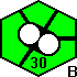 Tile 442